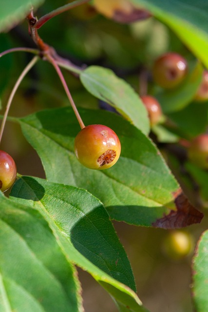 动人心的一 动人心的一
