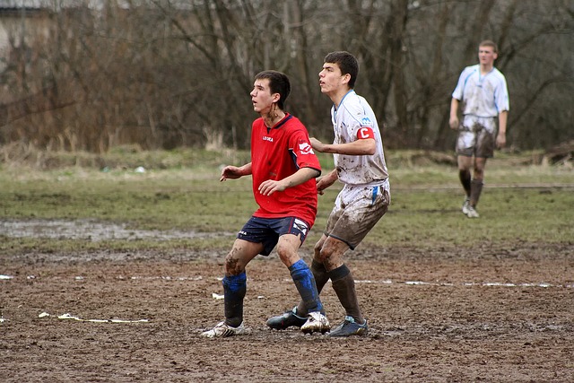 更加优质的 更加优质的