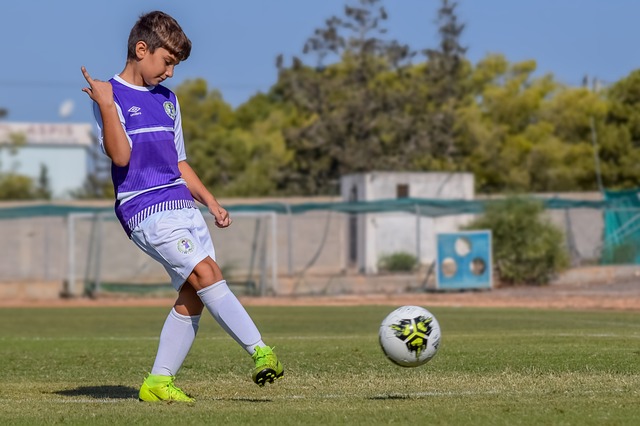 谊和文化交 谊和文化交