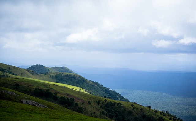 让人联想到 让人联想到